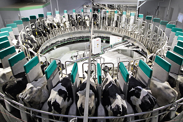 DairyProQ